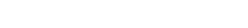 Revi Studios